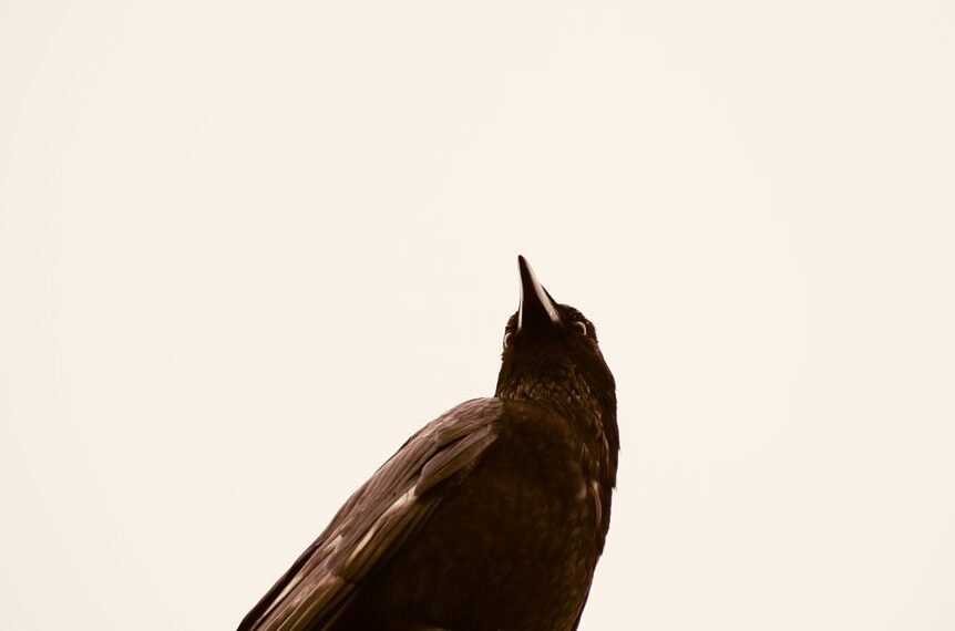 enterprise intelligence impact study